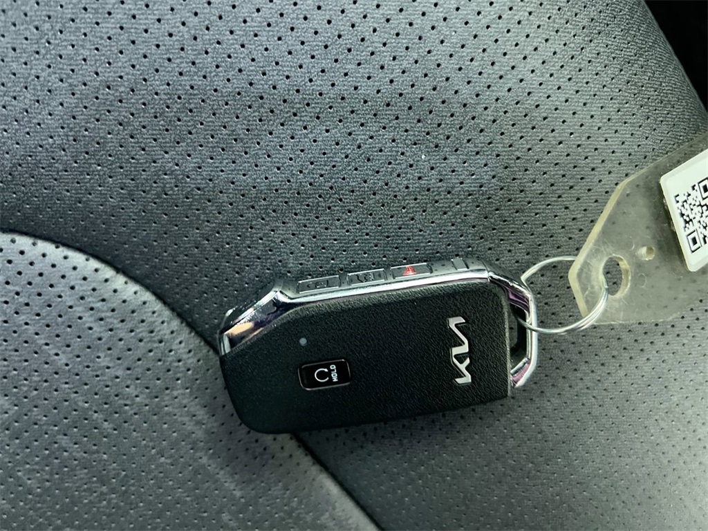 2025 Kia Niro EV Wave photo 33