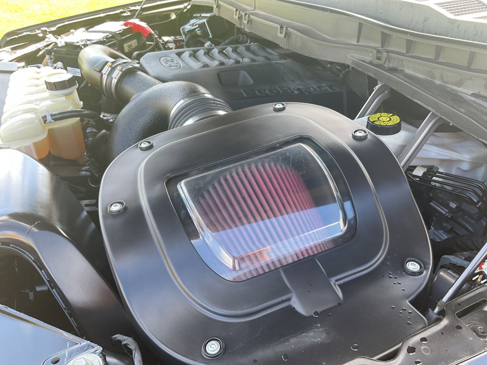 2021 Ford F-150 Tremor photo 25
