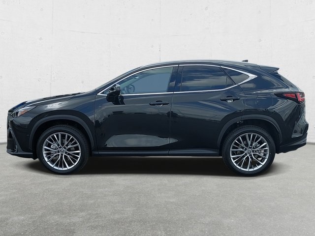 2025 Lexus NX 350 Luxury AWD photo 8