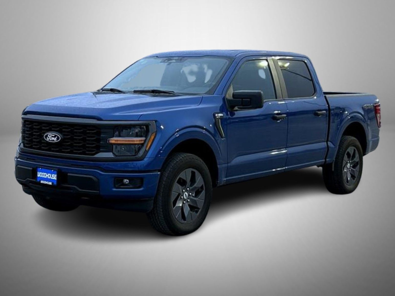 2025 Ford F-150 STX's photo