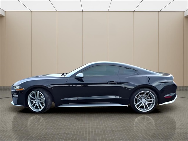 2022 Ford Mustang EcoBoost photo 2