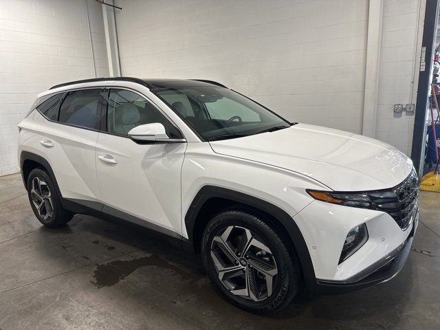2024 Hyundai Tucson Limited photo 3