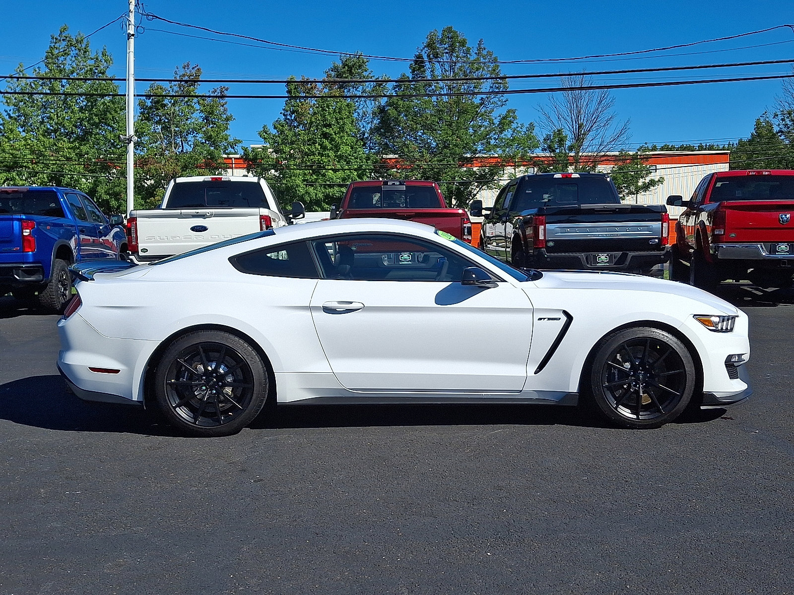2016 Ford Mustang Shelby GT350 photo 12