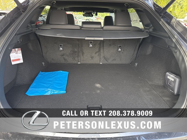 2025 Lexus RX 350 Premium photo 17