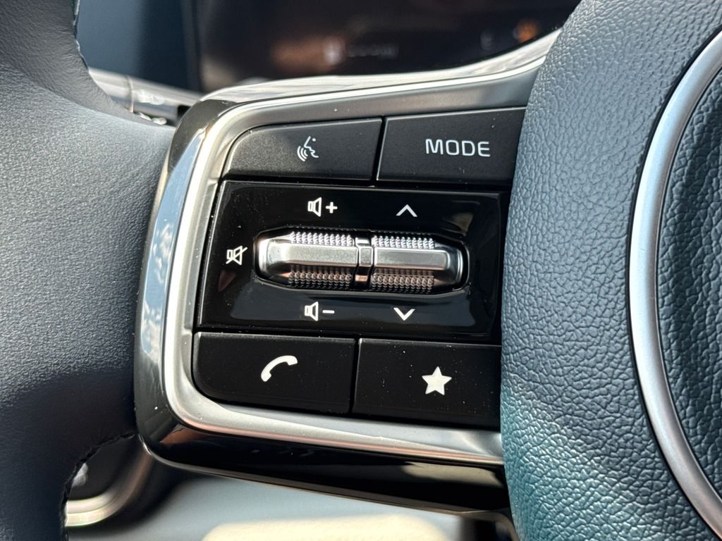 2026 Kia Carnival SX Prestige photo 23