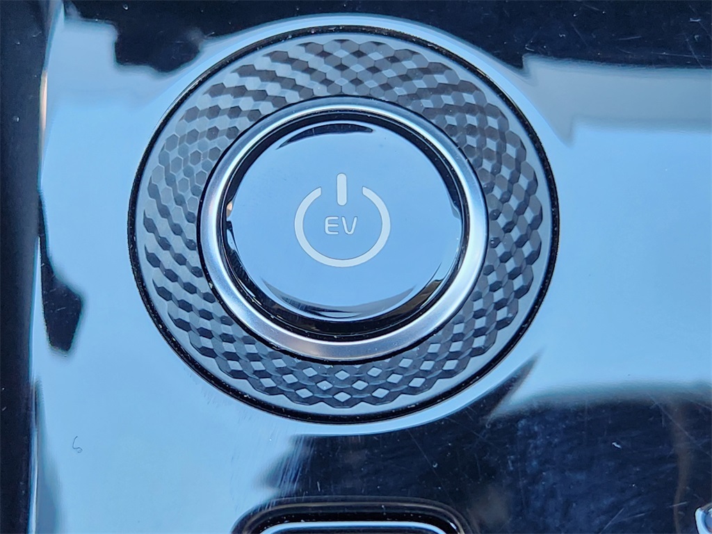 2024 Kia Niro EV Wave photo 23