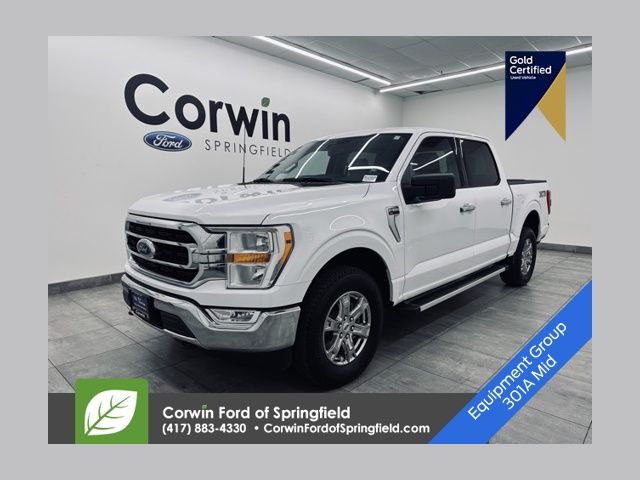 2023 Ford F-150 XLT's photo