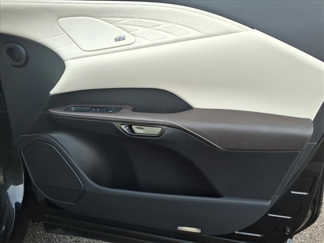 2023 Lexus RX 350 Luxury photo 19