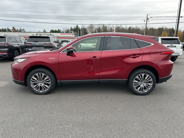 2021 Toyota Venza XLE photo 4