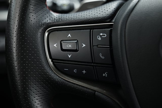 2024 Lexus UX 250h F SPORT Handling photo 34