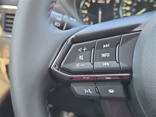2025 Mazda CX-5 2.5 Turbo Premium photo 14