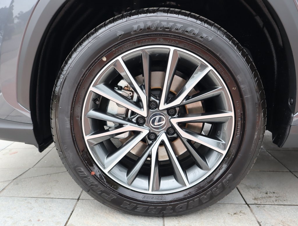 2025 Lexus NX 250 Premium photo 9