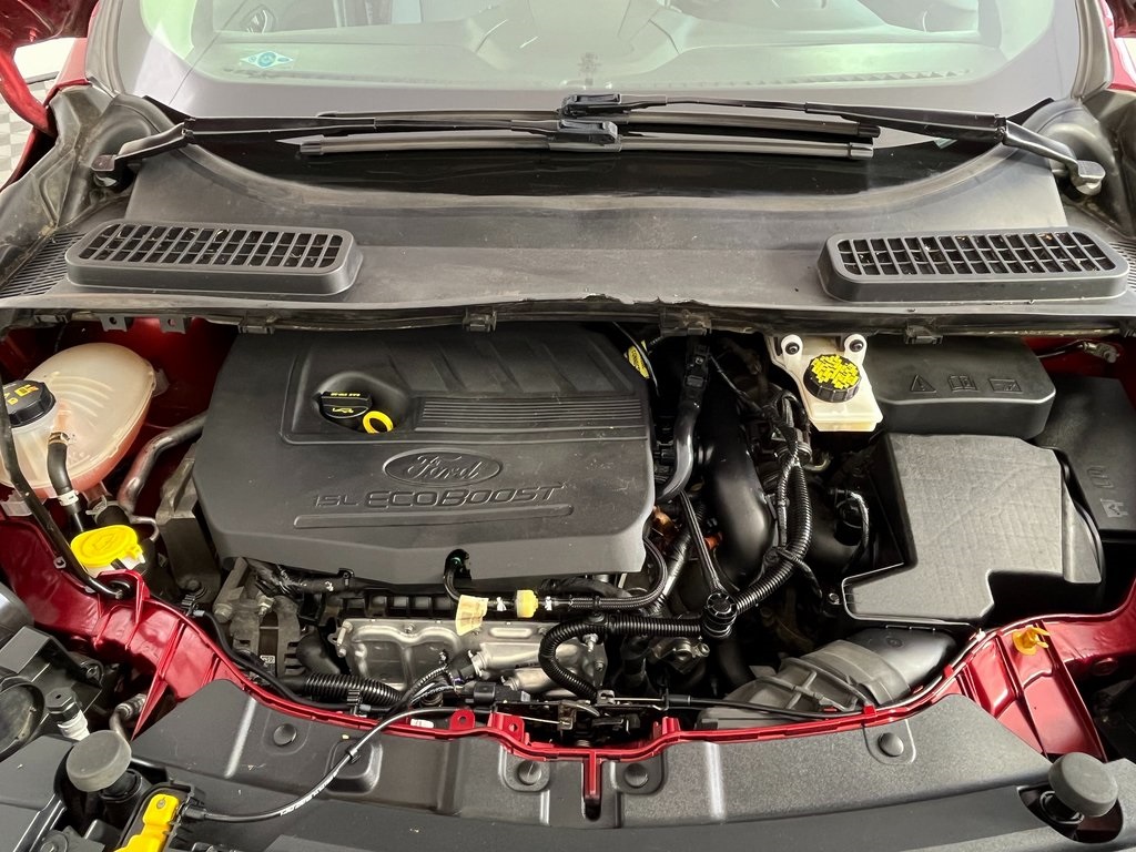 2018 Ford Escape SE photo 11