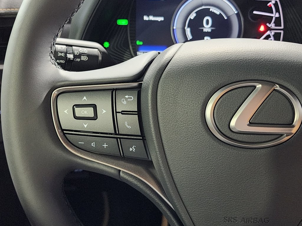 2025 Lexus UX photo 13