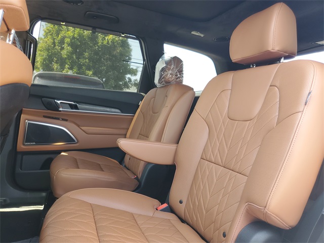 2025 Kia Telluride SX Prestige X-Line photo 6