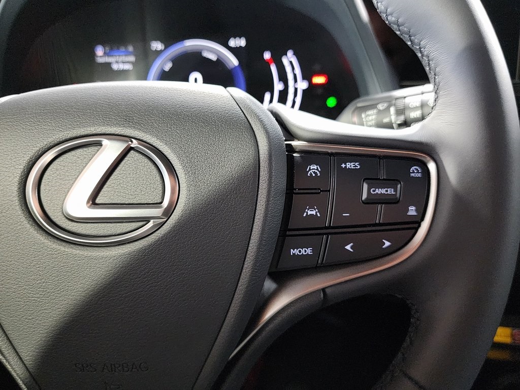 2025 Lexus UX photo 16