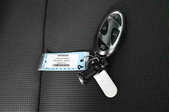 2026 Hyundai Palisade Calligraphy photo 28