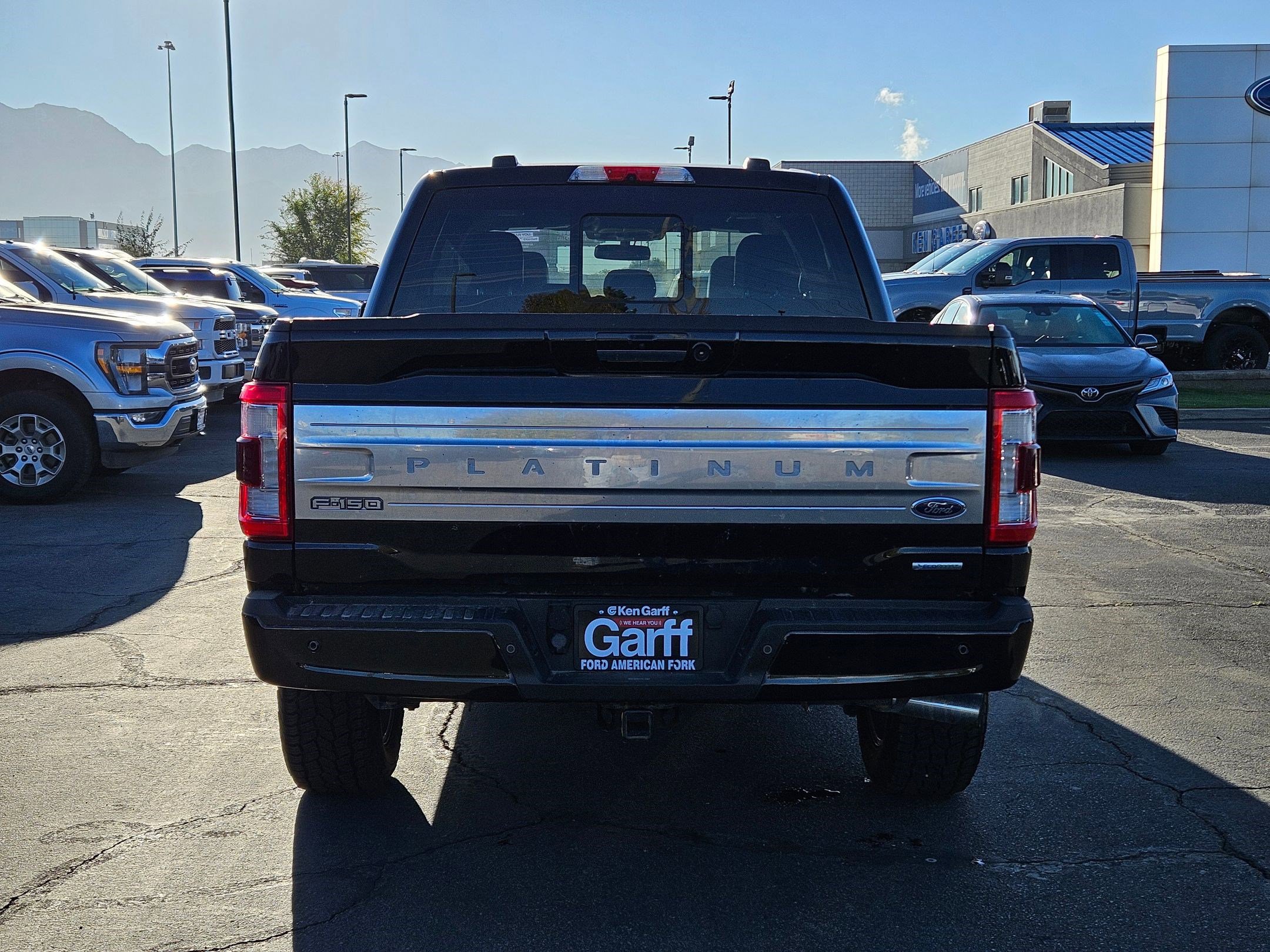 2021 Ford F-150 Platinum photo 3