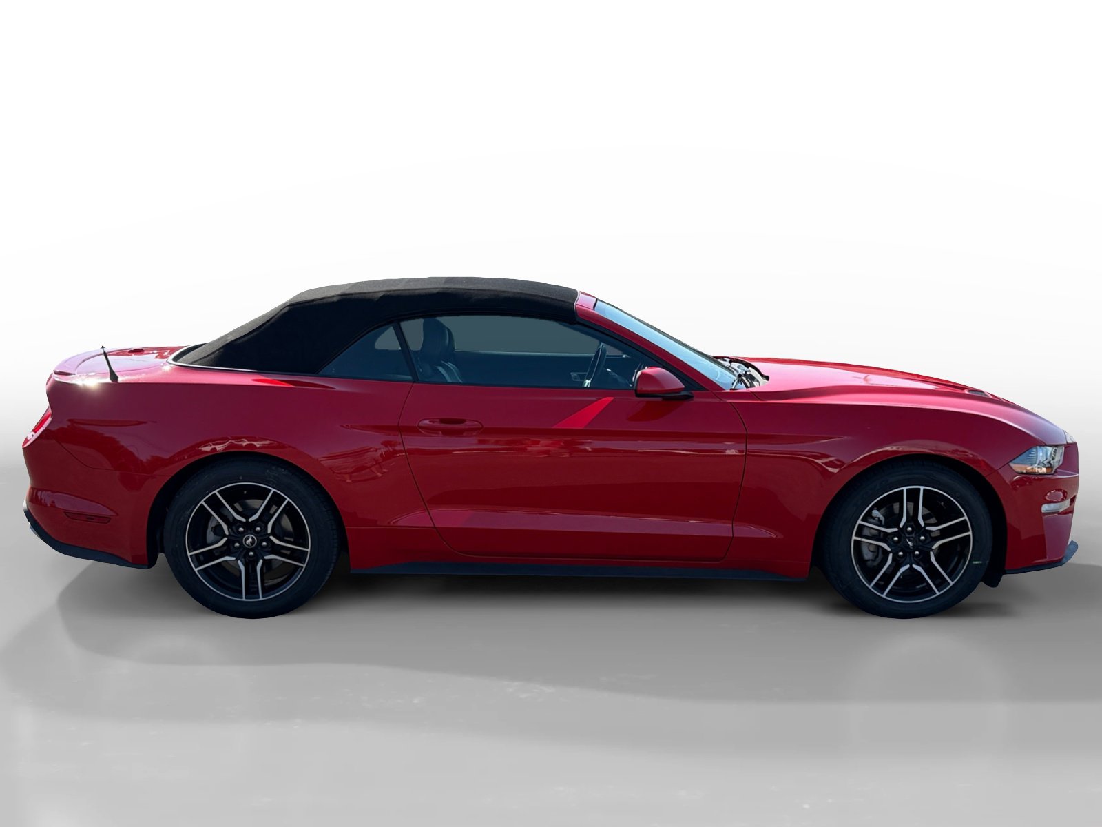 2023 Ford Mustang EcoBoost Premium photo 6
