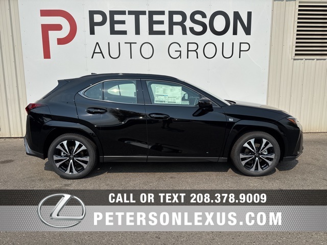 2025 Lexus UX F SPORT Design photo 3