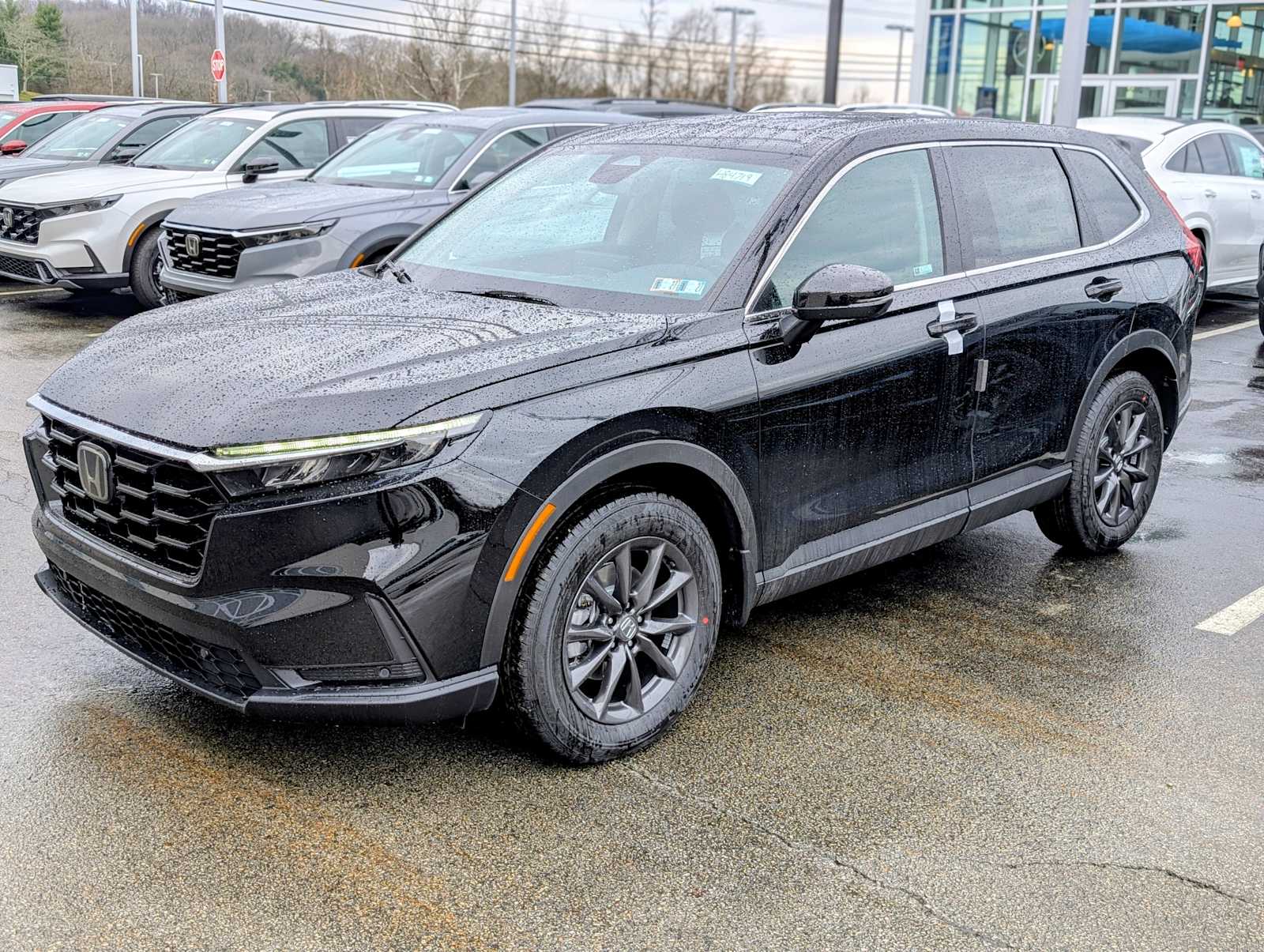 2026 Honda CR-V EX-L's photo