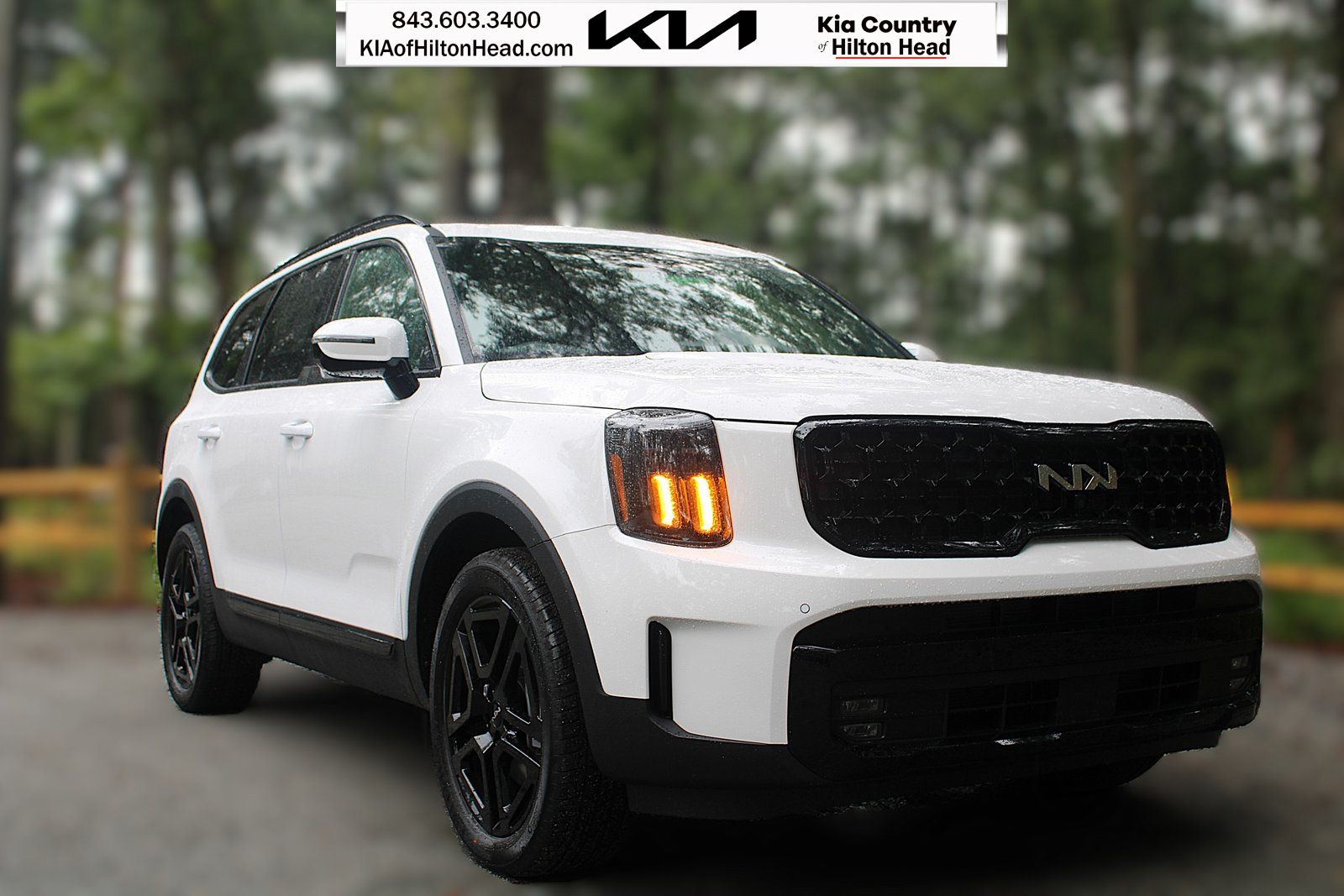 2025 Kia Telluride SX Prestige X-Line's photo