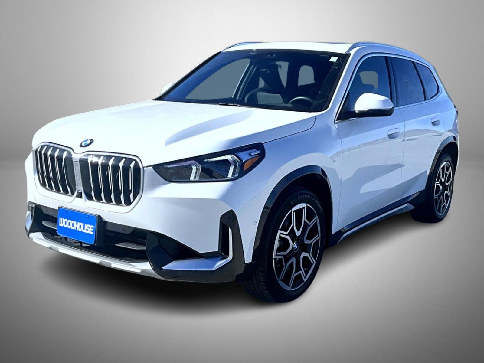 2025 BMW X1 28i's photo