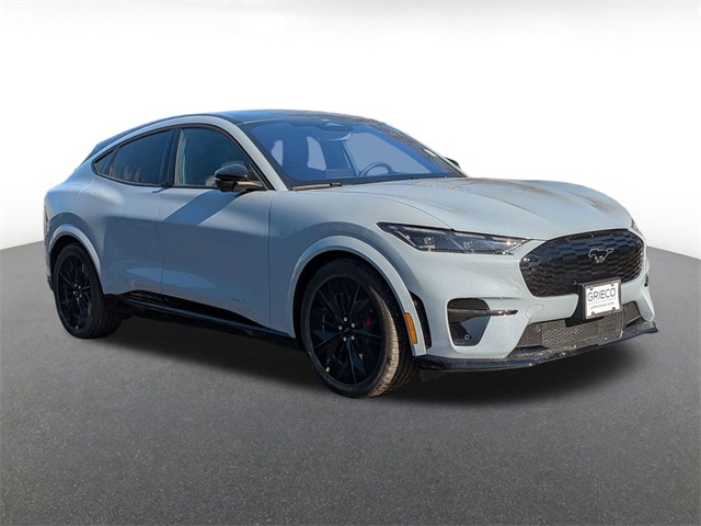 2025 Ford Mustang Mach-E GT AWD's photo