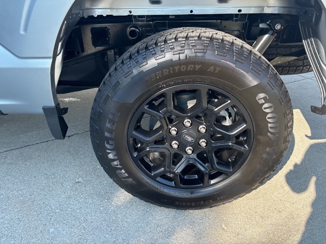 2025 Ford F-150 STX photo 9