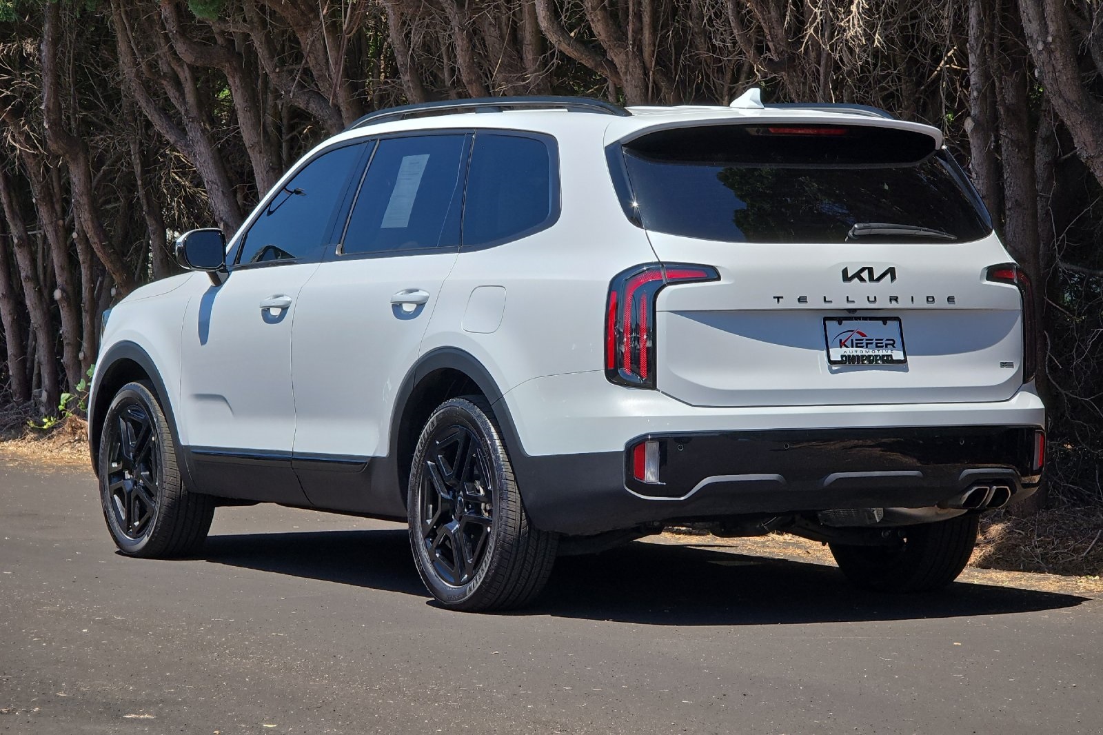 2025 Kia Telluride X-Line photo 4