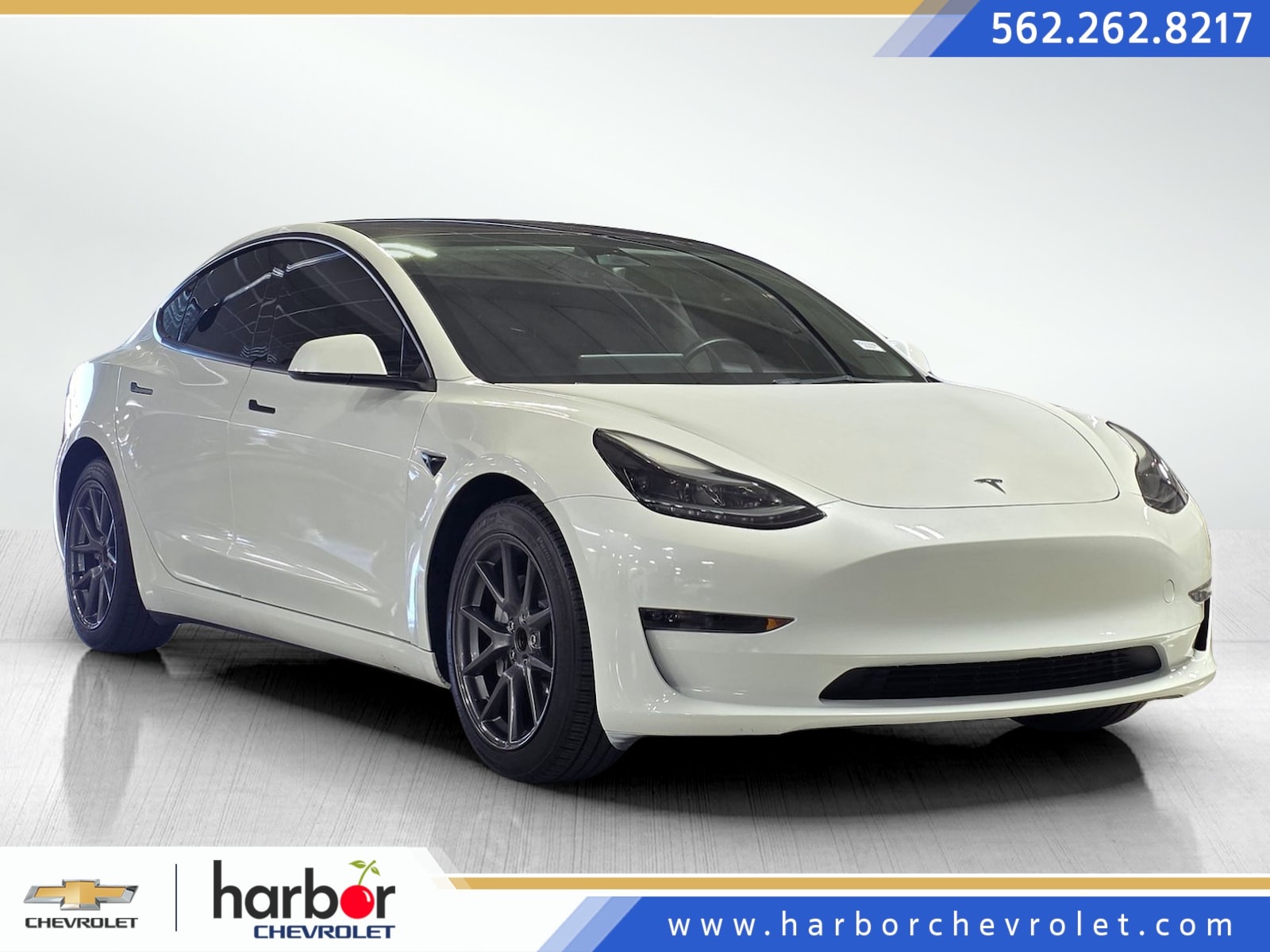 2023 Tesla Model 3 Base's photo