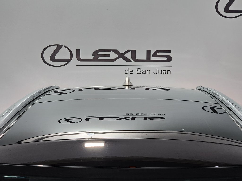 2025 Lexus RX 450h+ Luxury photo 6