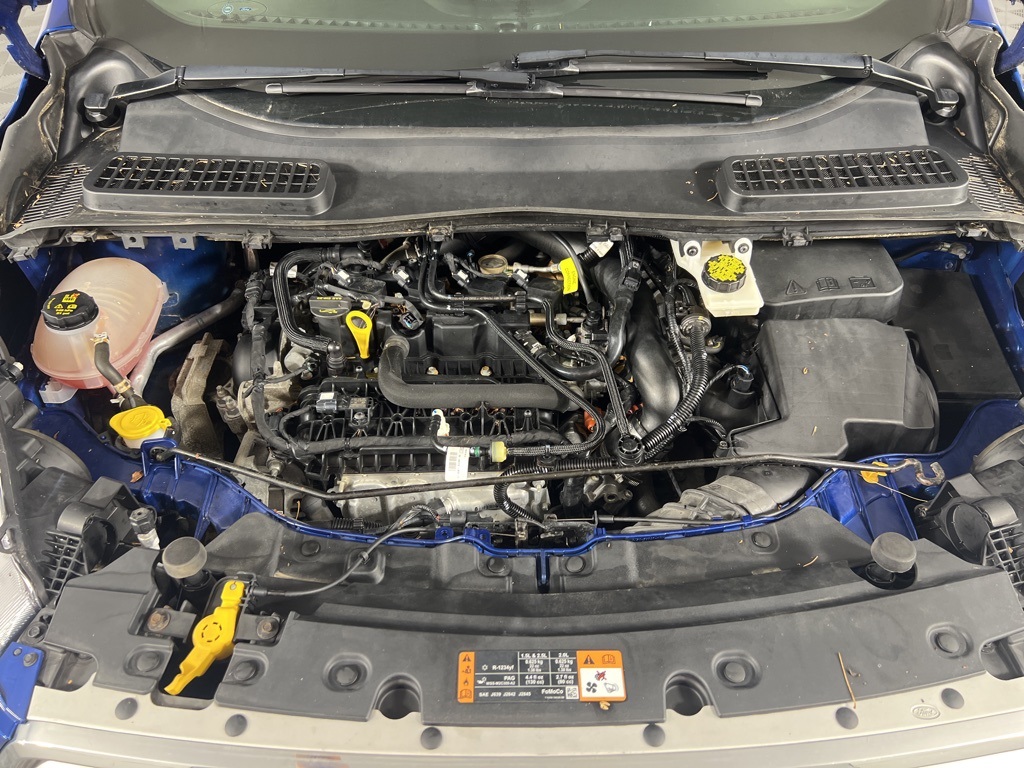 2019 Ford Escape SE photo 4