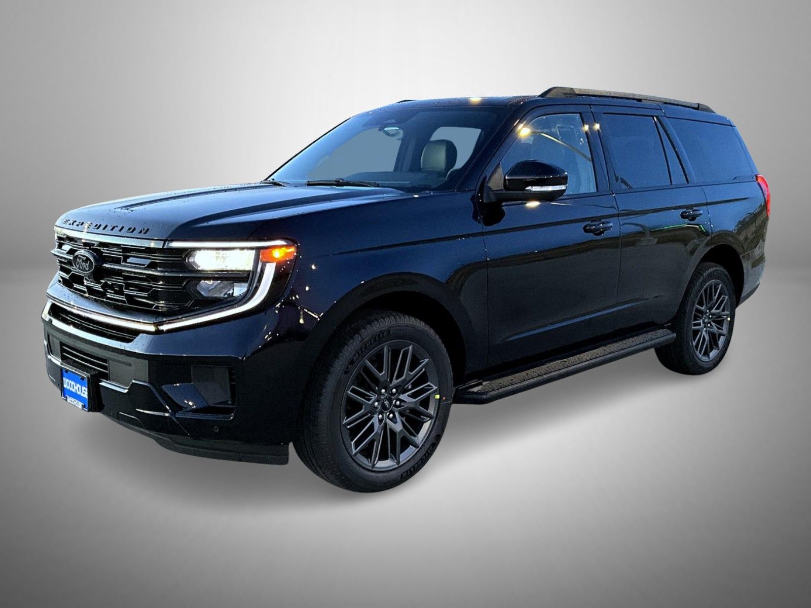 2026 Ford Expedition Platinum's photo