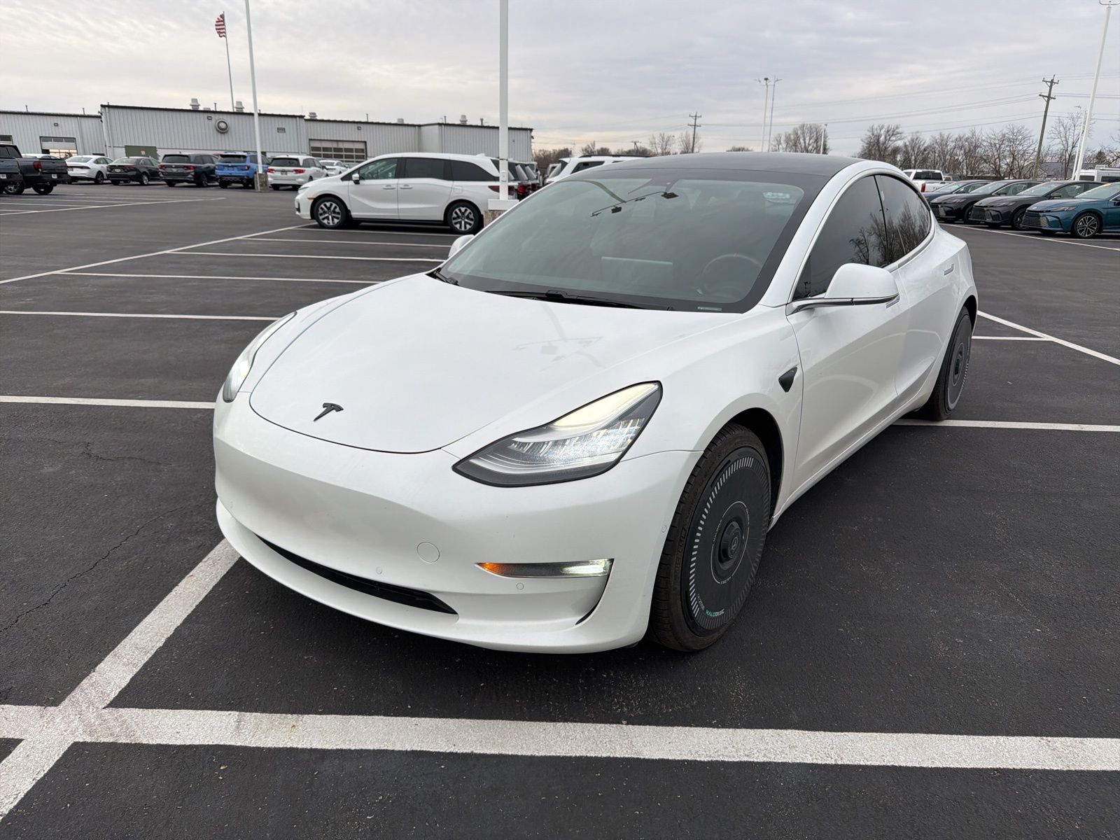 2020 Tesla Model 3 Rear-Wheel Drive's photo