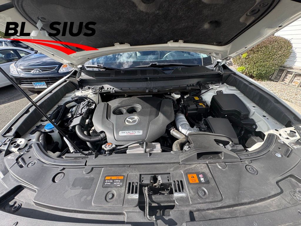 2021 Mazda CX-9 Signature photo 19