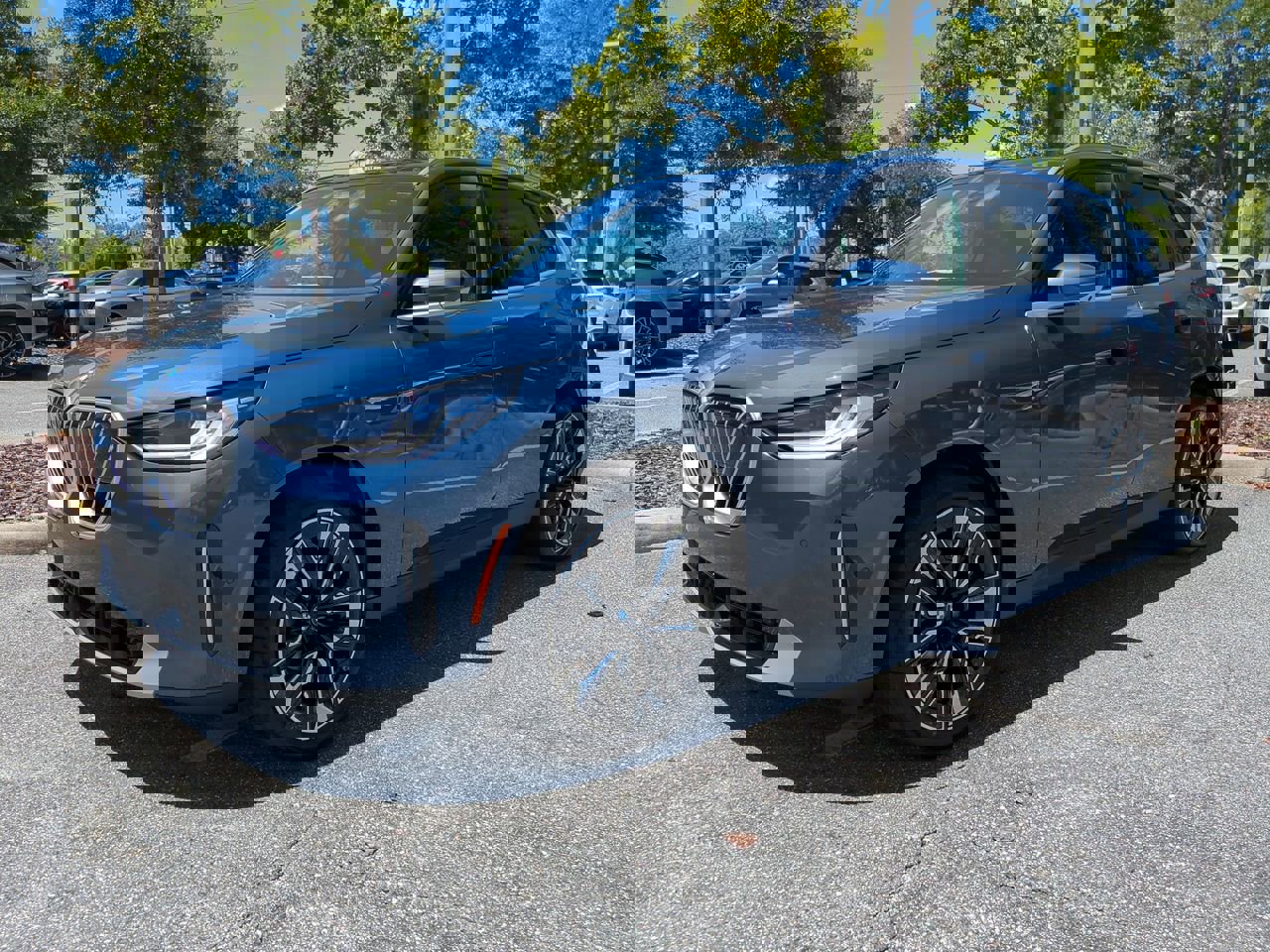 2025 Bmw X3 30x Drive photo 2