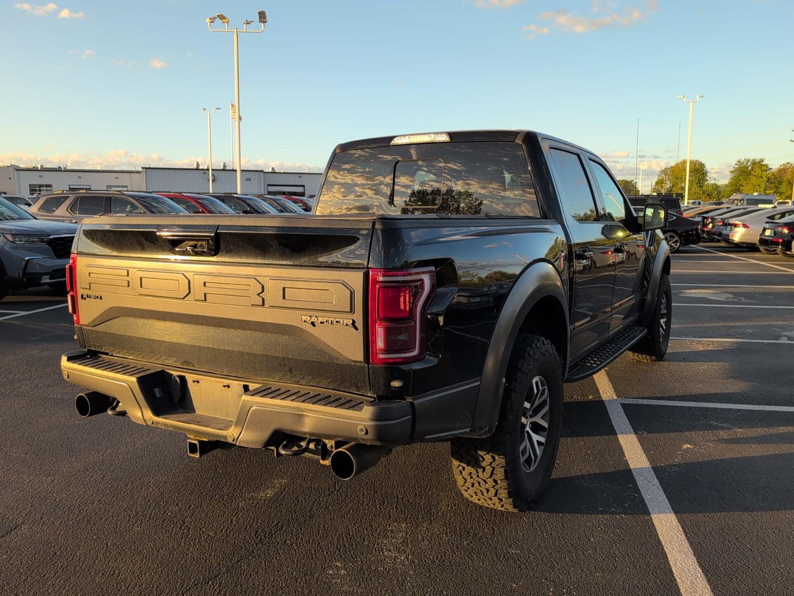 2017 Ford F-150 Raptor photo 5