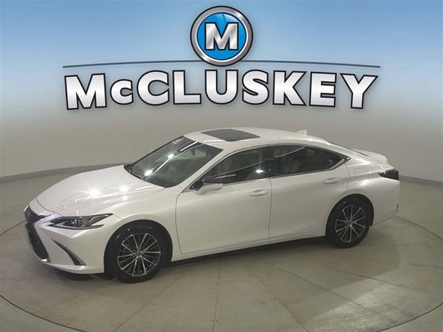 2022 Lexus ES 250's photo