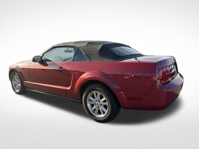 2006 Ford Mustang Deluxe's photo
