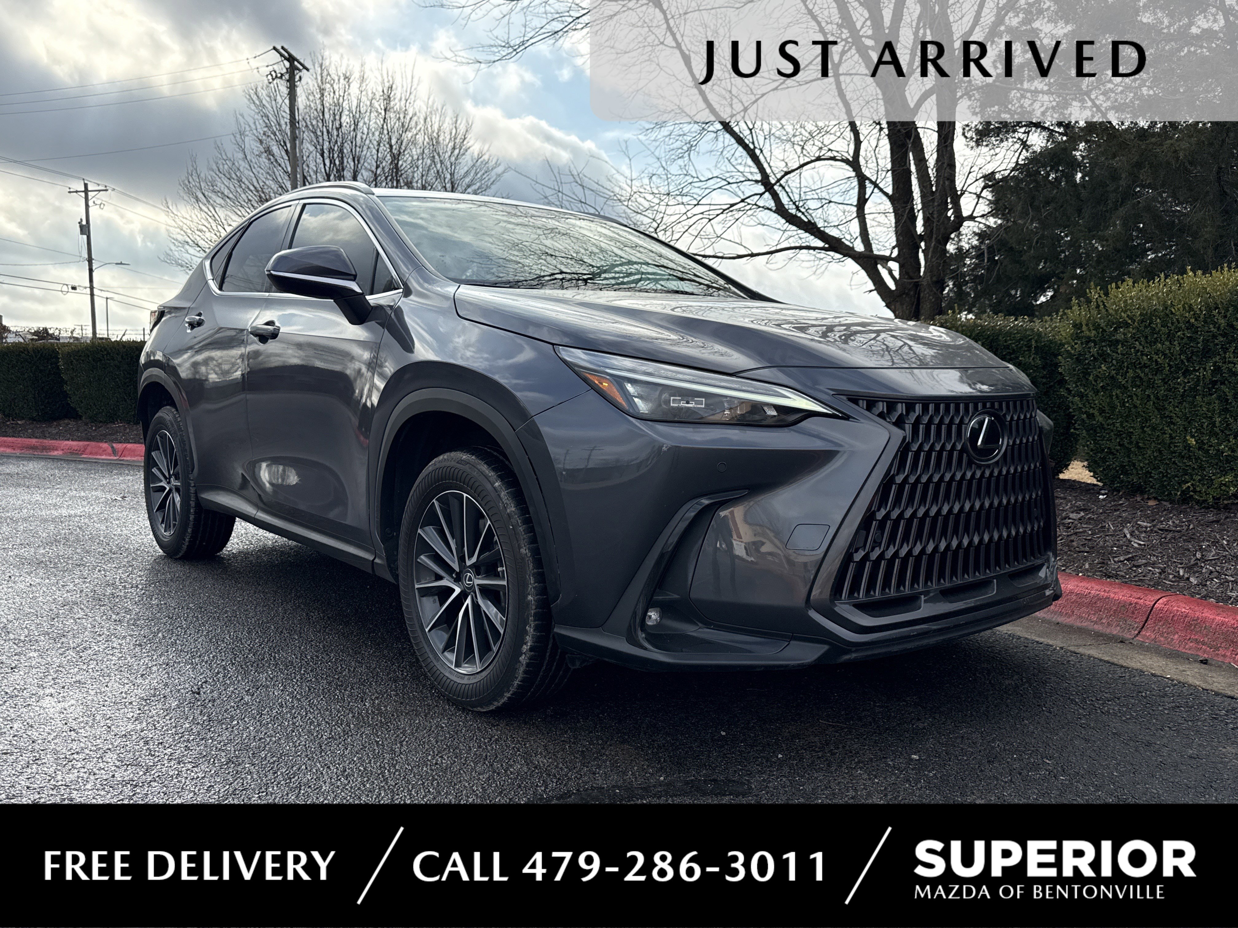 2023 Lexus NX 350's photo