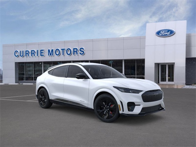 2025 Ford Mustang Mach-E GT photo 5
