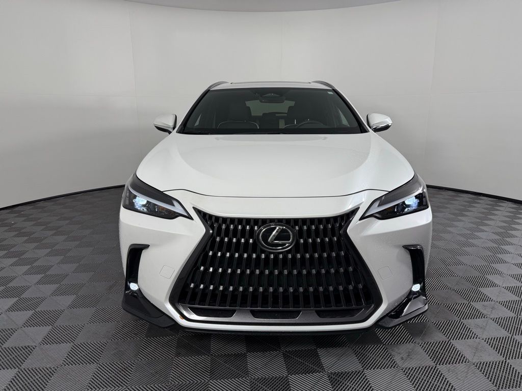 2024 Lexus NX 350 photo 2