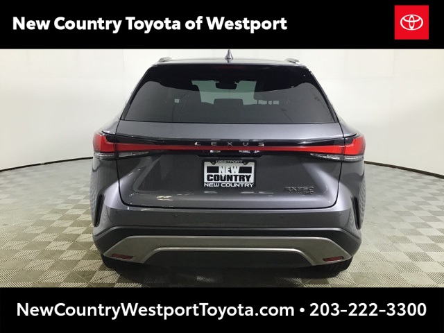 2023 Lexus RX 350 Premium AWD photo 3
