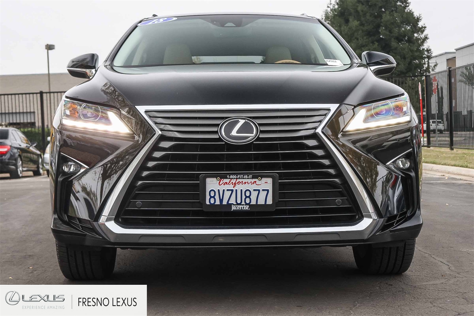 2018 Lexus RX 350 photo 2