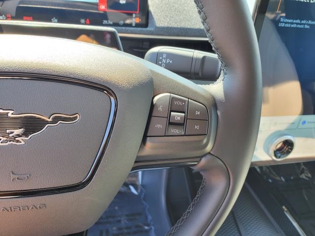 2025 Ford Mustang Mach-E Premium photo 16