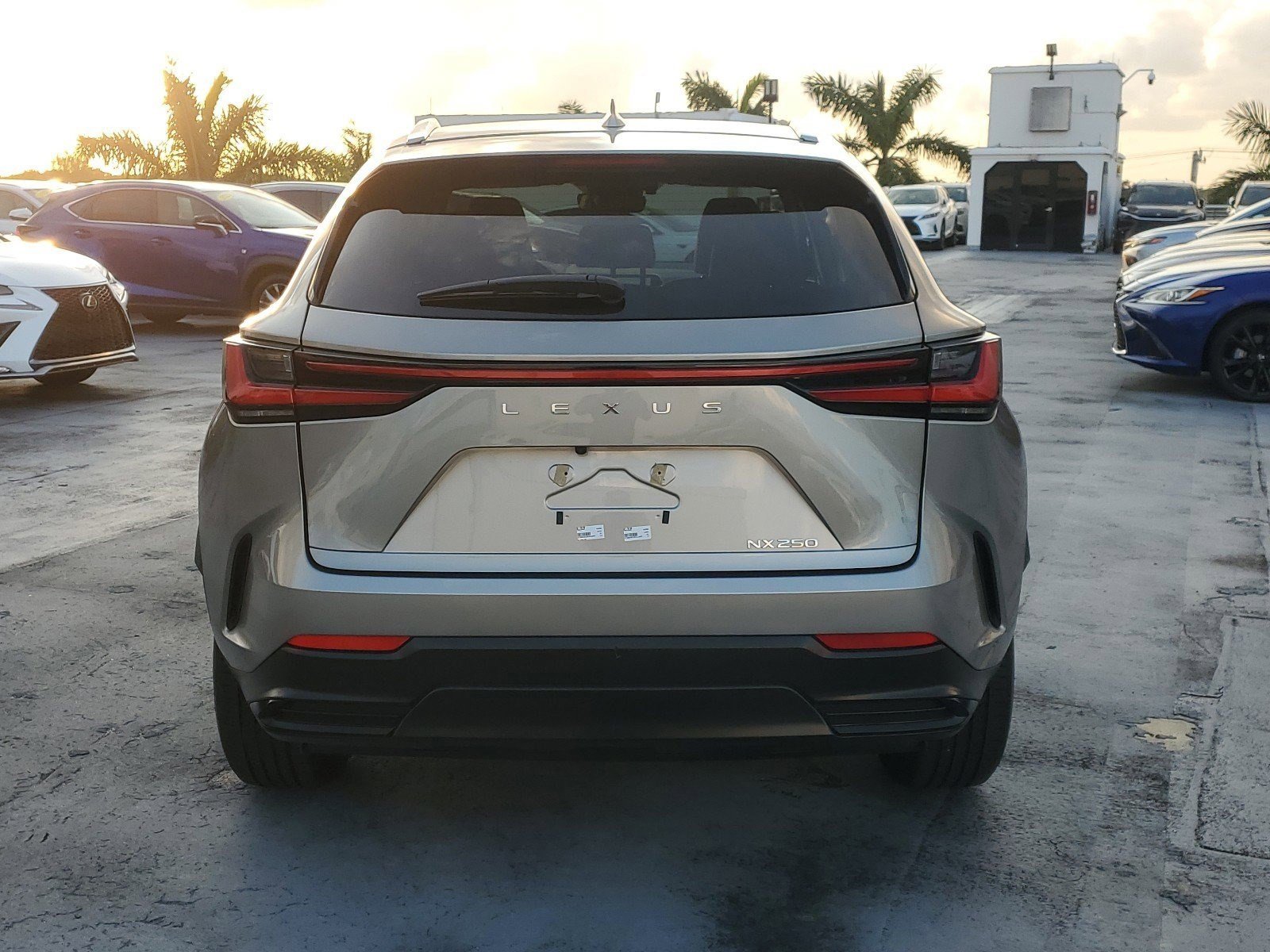 2024 Lexus NX 250 photo 7