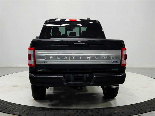 2023 Ford F-150 Platinum photo 6