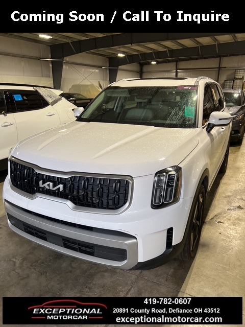 2023 Kia Telluride EX's photo