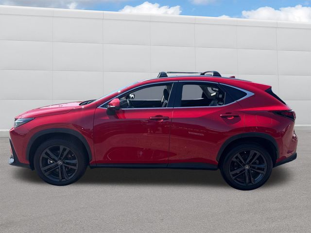 2024 Lexus NX 450h+ Luxury photo 2